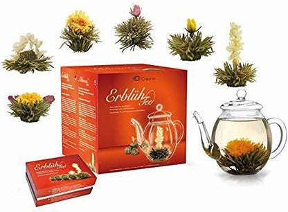 Erblüh-Tee Set Weißtee mit Glaskanne (500ml) mit 6 Erblüh-Teekugeln in 6 Variationen - First-Cup