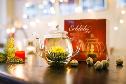 Erblüh-Tee Set Weißtee mit Glaskanne (500ml) mit 6 Erblüh-Teekugeln in 6 Variationen - First-Cup